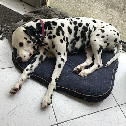 L'atelier De Mathilde, Salon de Coiffure à Vertou