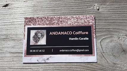 ANDAMACO Coiffure à domicile, Coiffeur à Domicile à Saint-Sigismond