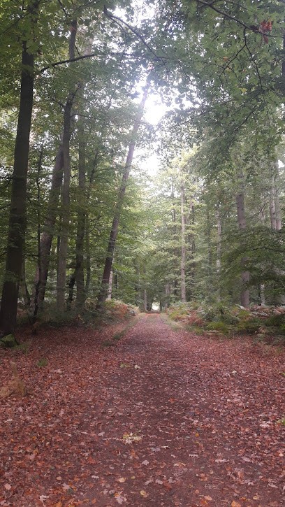 DEVAUX SYLVIE, Coiffeur à Domicile à Litz
