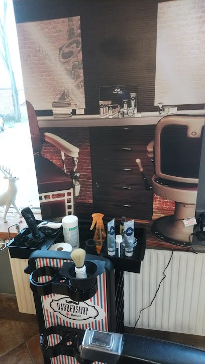 Seguin Sebastien Jean Marie, Salon de Coiffure à Avesnelles