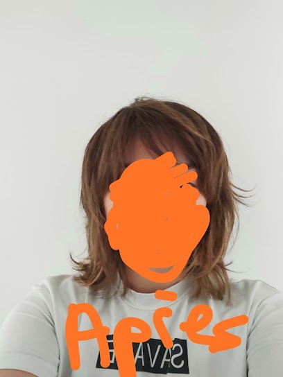 Salon Saint Nicolas, Salon de Coiffure à Montfort-sur-Meu