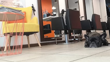 JS Coiffure, Salon de Coiffure à Vichy