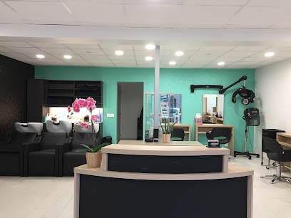 Aline Coiffure, Salon de Coiffure à Bourg-Lastic