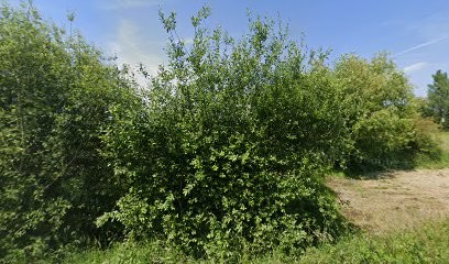 Huet Sophie, Coiffeur à Domicile à Illiers-Combray