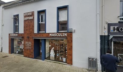 Sylvie Coiffure, Salon de Coiffure à Pluvigner