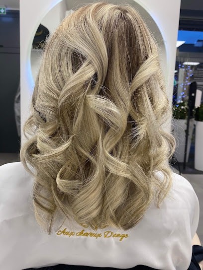 Aux Cheveux D'ange (Sabrina Gambert), Salon de Coiffure à Vieux-Condé