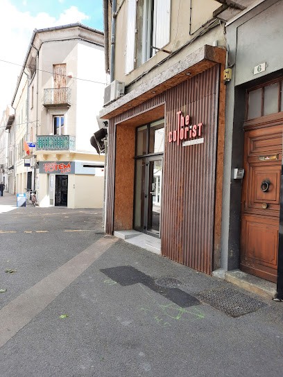 The colorist, Salon de Coiffure à Alès
