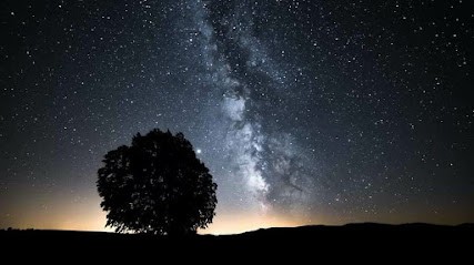 frederic coiffure homme, Salon de Coiffure à Saint-Drézéry