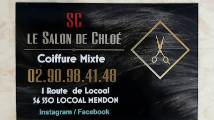 Le Salon De Chloé Coiffeur à Locoal-Mendon