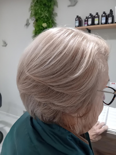 Les Ciseaux De Sophie Coiffeur à Bourgueil