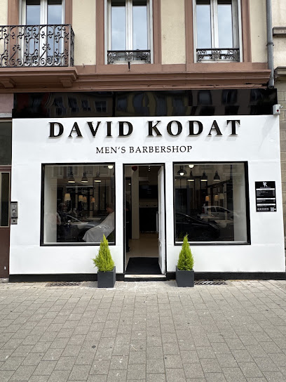David Kodat Faubourg De Pierre #3 Coiffeur à Strasbourg