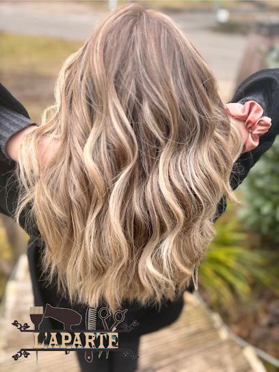 Salon L'aparté – Coiffure À Monswiller Coiffeur à Monswiller