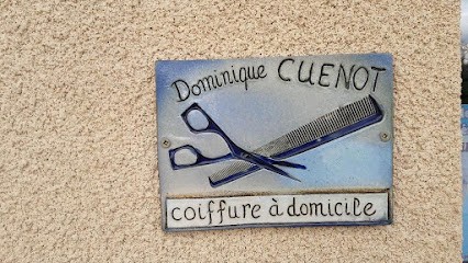 Dominique Coiffure, Coiffeur à Domicile à Veuxhaulles-sur-Aube