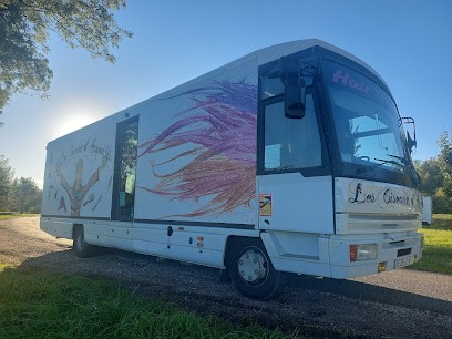Les Ciseaux D’argent - Hair Truck, Salon de Coiffure à Senargent-Mignafans