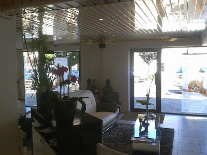 Alan B Coiffure, Salon de Coiffure à Aussonne