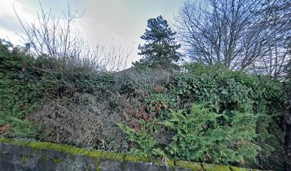 Ferrari Celine, Coiffeur à Domicile à Porcieu-Amblagnieu