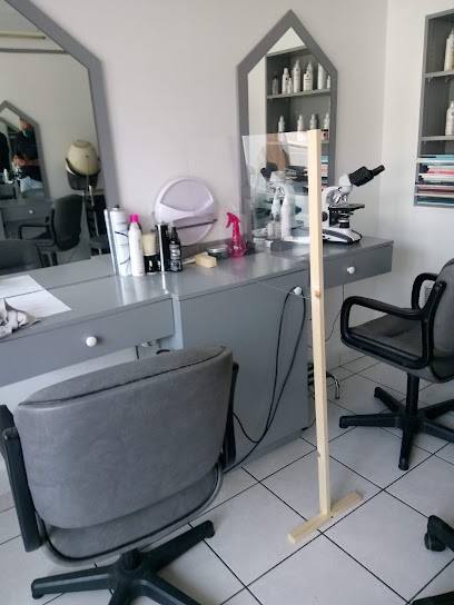 PLE Dorin Francine Edith, Salon de Coiffure à Bolbec
