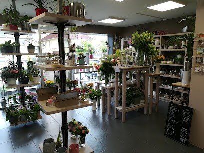 Profil Coiffure Sarl, Salon de Coiffure à Bonchamp-lès-Laval