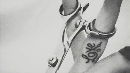 Velvet Institut, Coiffeur à Domicile à Régusse