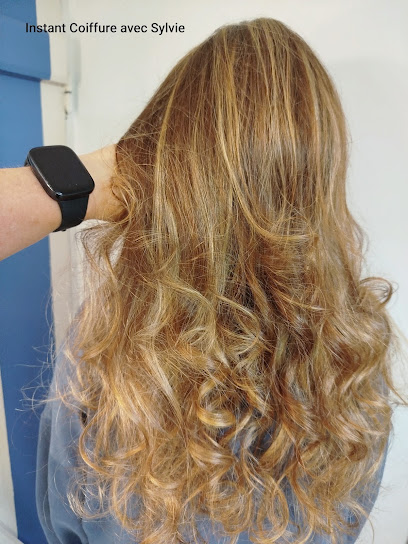 Instant Coiffure Avec Sylvie (Coiffeuse À Domicile) Coiffeur à Aulnay-sous-Bois