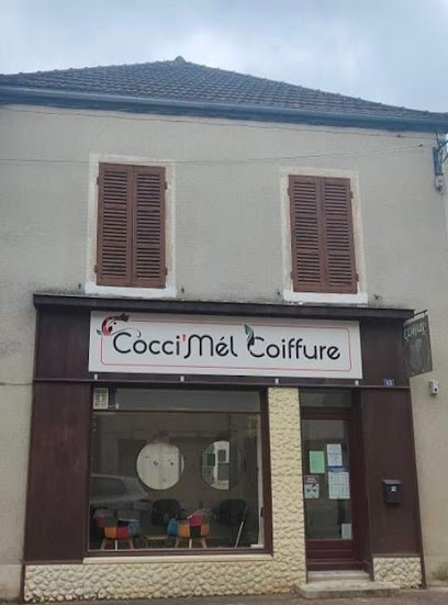 Cocci'Mél Coiffure, Salon de Coiffure à L'Isle-sur-Serein
