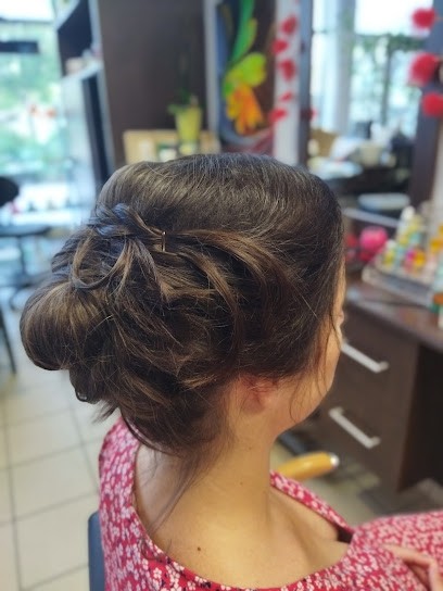 Stéphanie Coiffure, Salon de Coiffure à Angers