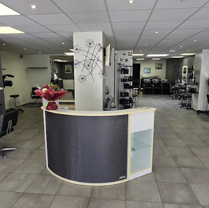 Aux Ciseaux D'or Coiffeur à Seurre