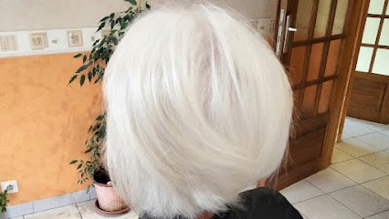 Cat coupe, Coiffeur à Domicile à Feurs