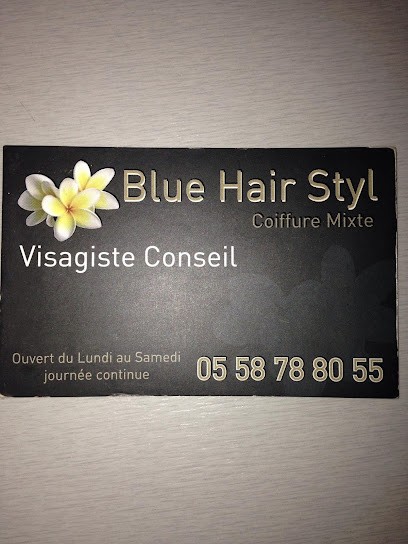 Blue Hair Styl, Salon de Coiffure à Parentis-en-Born