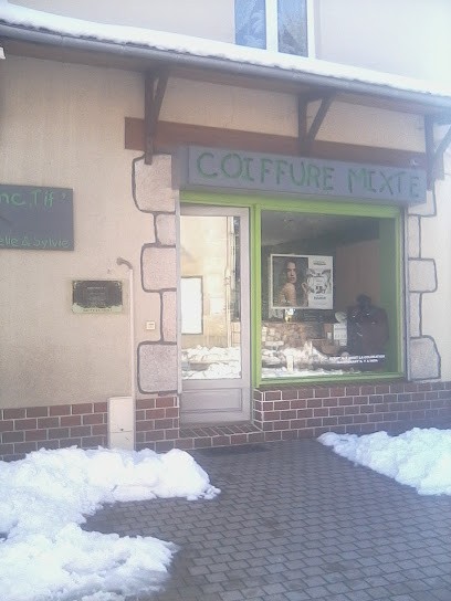 Instinc.tif, Salon de Coiffure à Noirétable