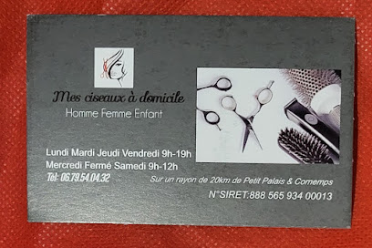 Mes Ciseaux À Domicile By Céline, Coiffeur à Petit-Palais-et-Cornemps