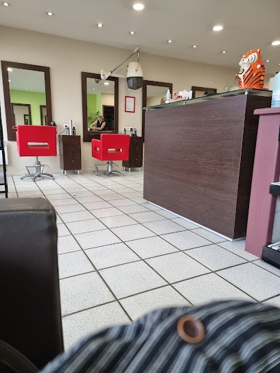 Elora Coiffure, Salon de Coiffure à Marcheprime