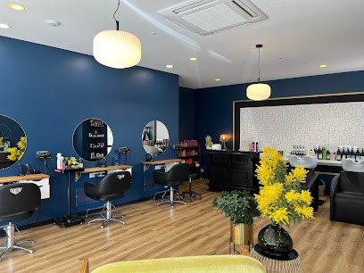 Tendance Coiffure, Salon de Coiffure à Aixe-sur-Vienne