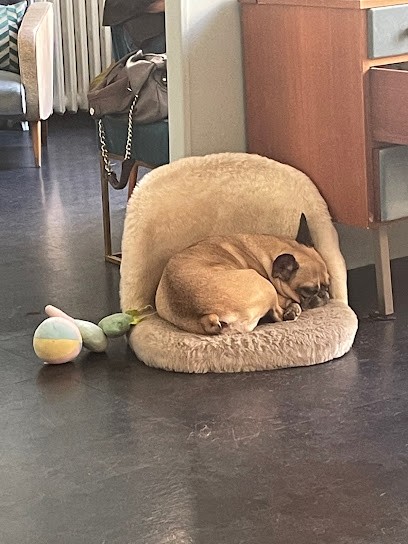 Tokoya, Salon de Coiffure à Marseille 06