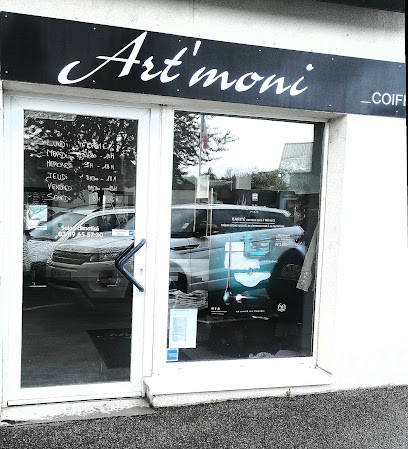 Art Moni Coiffure 2, Salon de Coiffure à Riedisheim