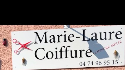 Annequin Marie-Laure, Salon de Coiffure à Sérézin-de-la-Tour