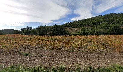 SB.hair_artist, Coiffeur à Domicile à Estagel