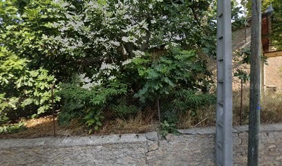 evasion de beauté coiffure / Maquillage Pro a Domicile, Coiffeur à Domicile à Magalas