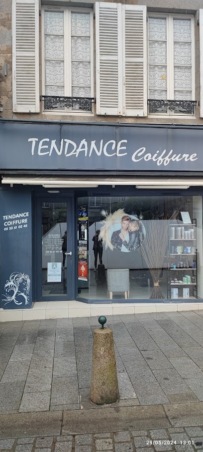 Tendance Coiffure, Salon de Coiffure à Villedieu-les-Poêles-Rouffigny