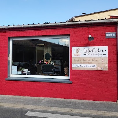 Lebel'Hair, Salon de Coiffure à Witternesse