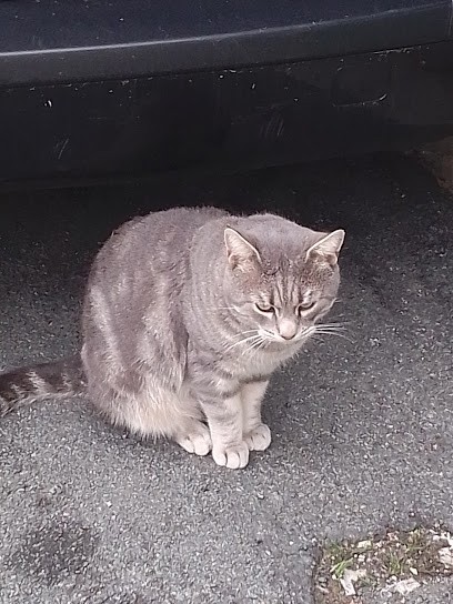 Coiffure Cathy, Salon de Coiffure à Saint-Jean-d'Angély