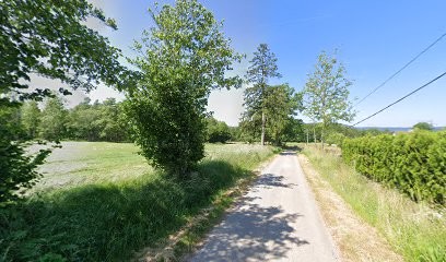 Mougeot Martine, Coiffeur à Domicile à Corcieux