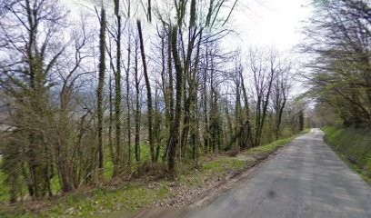 Galiano Vanthournout Isabelle, Salon de Coiffure à Saint-Étienne-de-Crossey