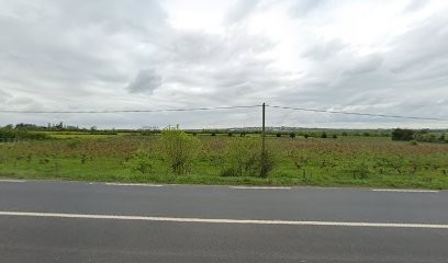 Rivière Martine, Coiffeur à Domicile à Vair-sur-Loire