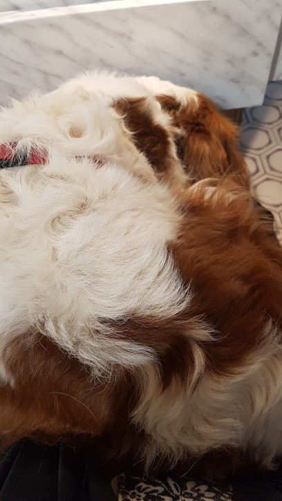 Expert Coiffure, Salon de Coiffure à Joigny