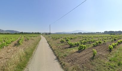 Juan Sylvia, Salon de Coiffure à Carpentras