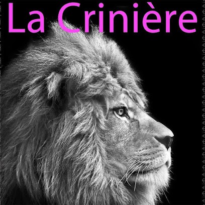 Salon de coiffure La Crinière, Salon de Coiffure à Grez-Neuville