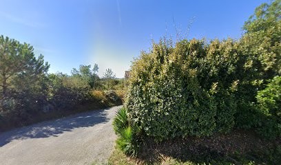 socio coiffeuse bio et végétal Dominique, Coiffeur à Domicile à Cassagnabère-Tournas