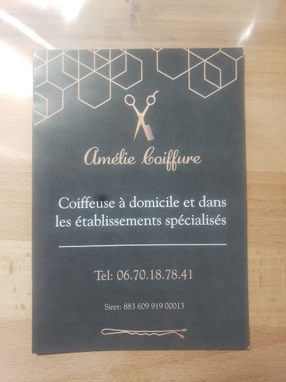 Amelie Coiffure A Domicile Les Hogues, Coiffeur aux Hogues