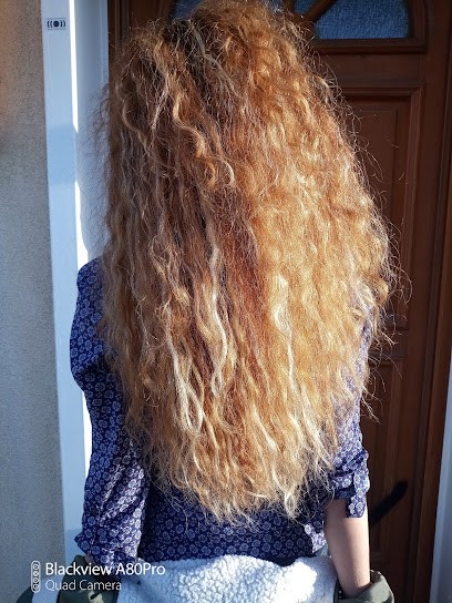 Faubourg Saint Honoré Coiffures, Salon de Coiffure à Nîmes